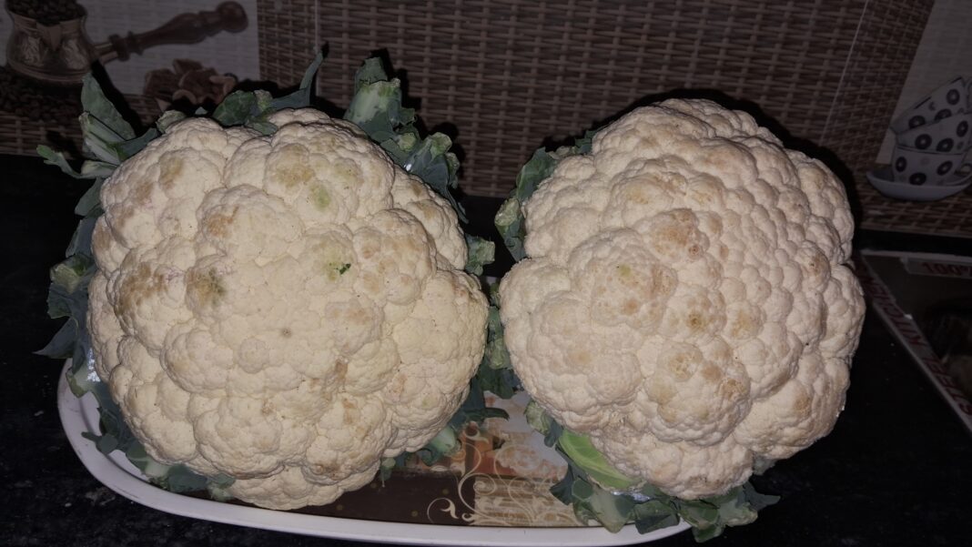 फूलगोभी