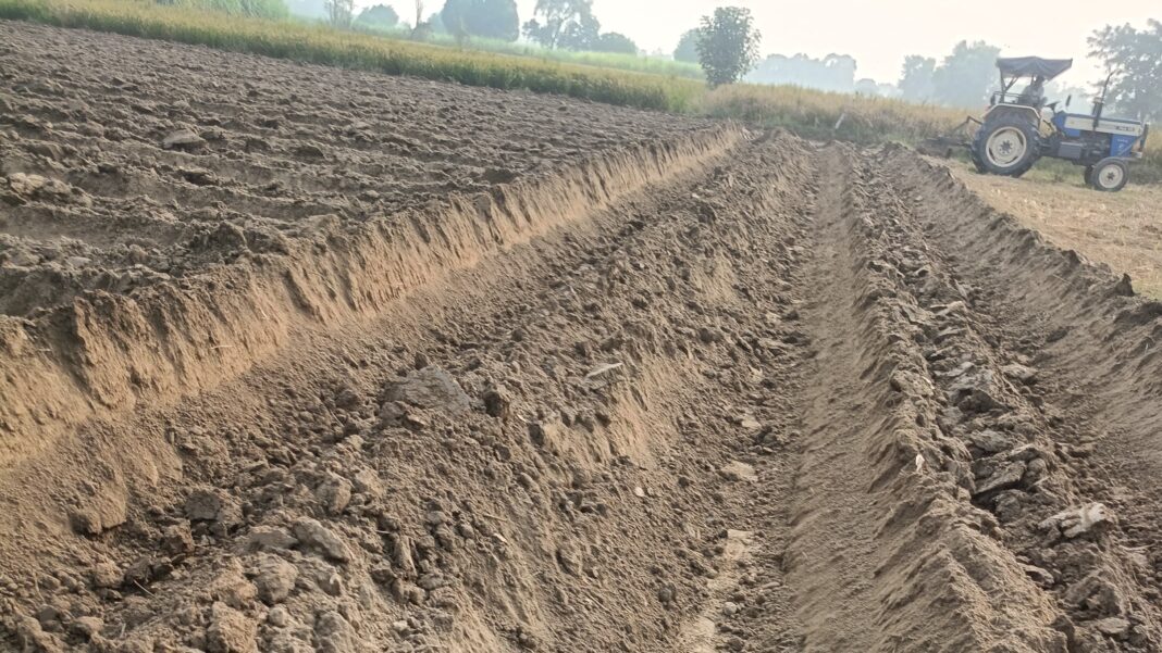 टंच विधि से गन्ना की खेती