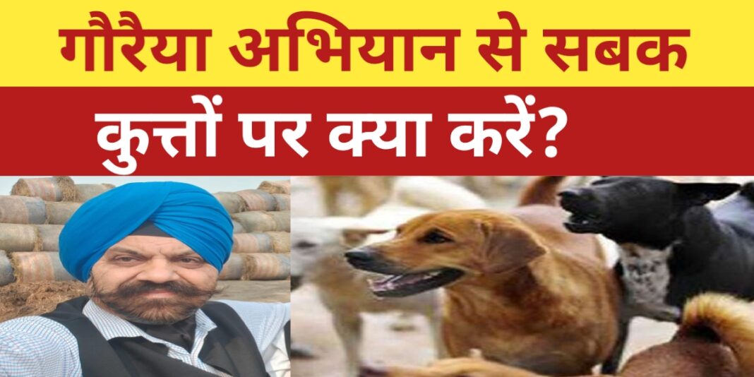 आवारा कुत्ते