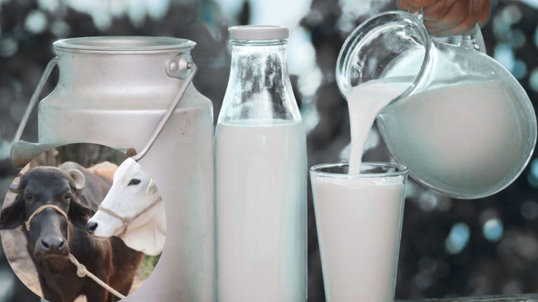 Brown and White Minimalist Fashion Presentation (11)