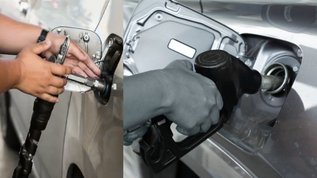 Brown and White Minimalist Fashion Presentation (11)